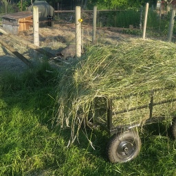 Handmade Hay